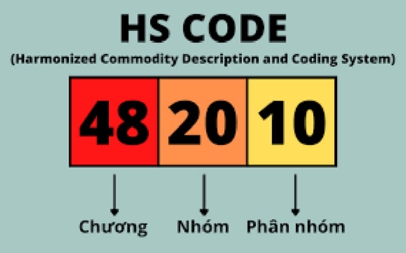 HS Code là gì