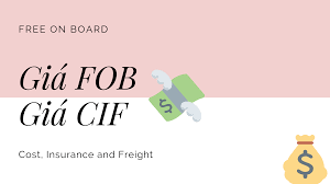 Phân biệt giá FOB và giá CIF - Hotline: 0818.805.599 (Ms Tiên)
