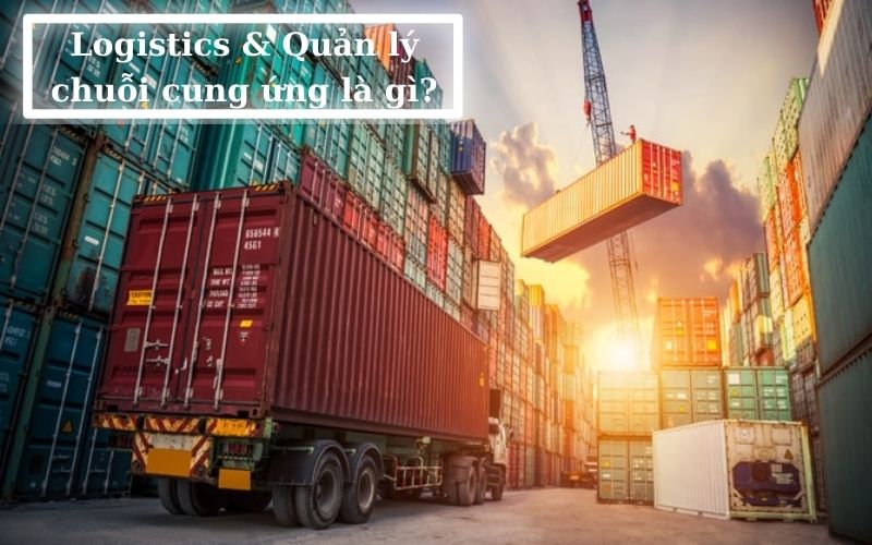 Logistics và Quản lý chuỗi cung ứng là gì
