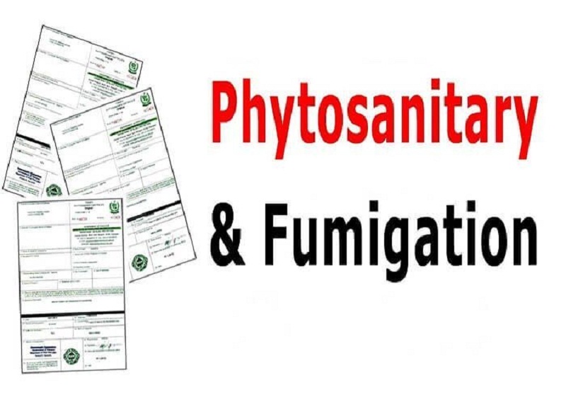 Phytosanitary là gì 