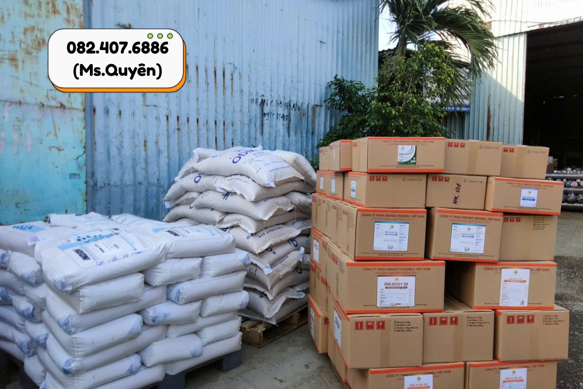 Chành xe đi Quy Nhơn