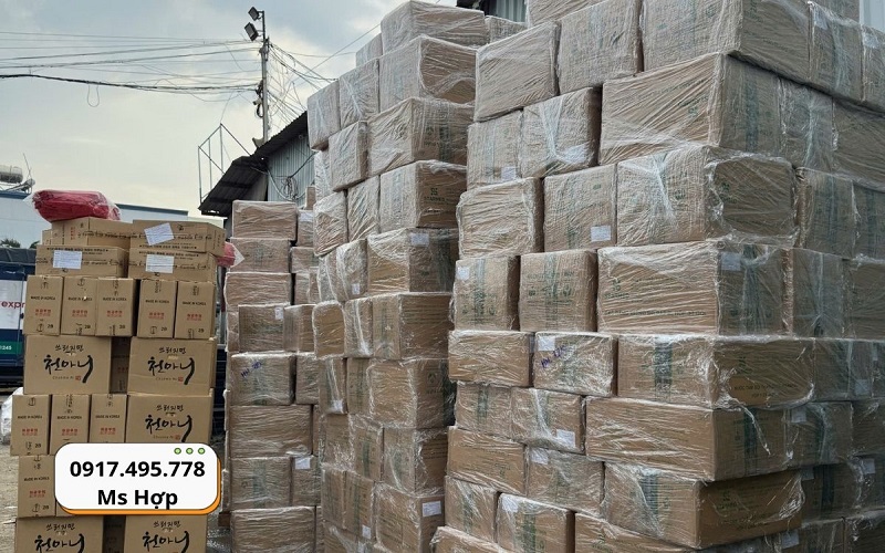 nhà xe gửi hàng đi vinh đa dạng